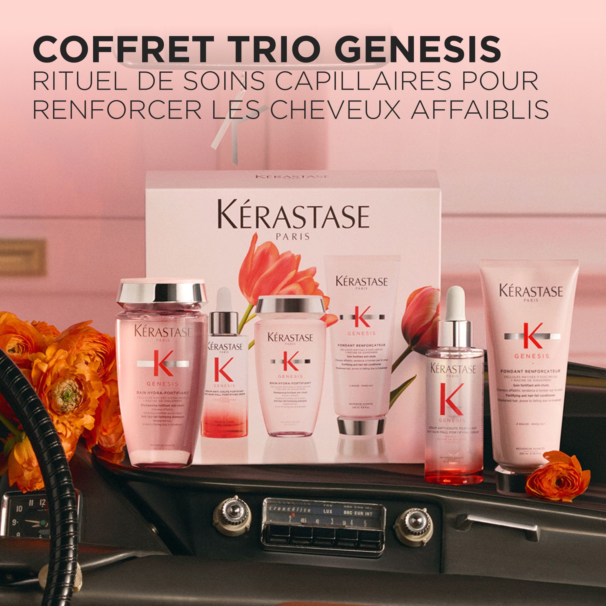 Coffret Printemps - Genesis - Édition Limitée