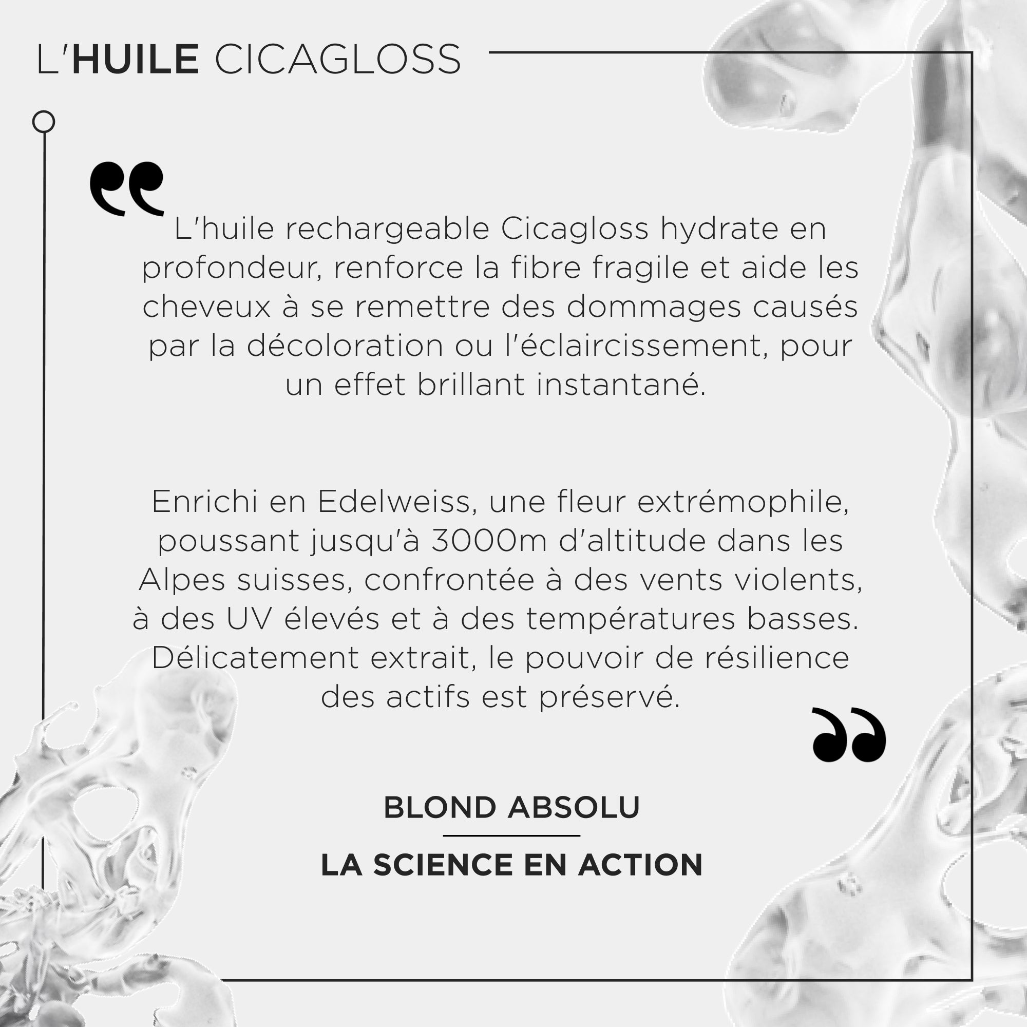 L'Huile  Cicagloss rechargeable