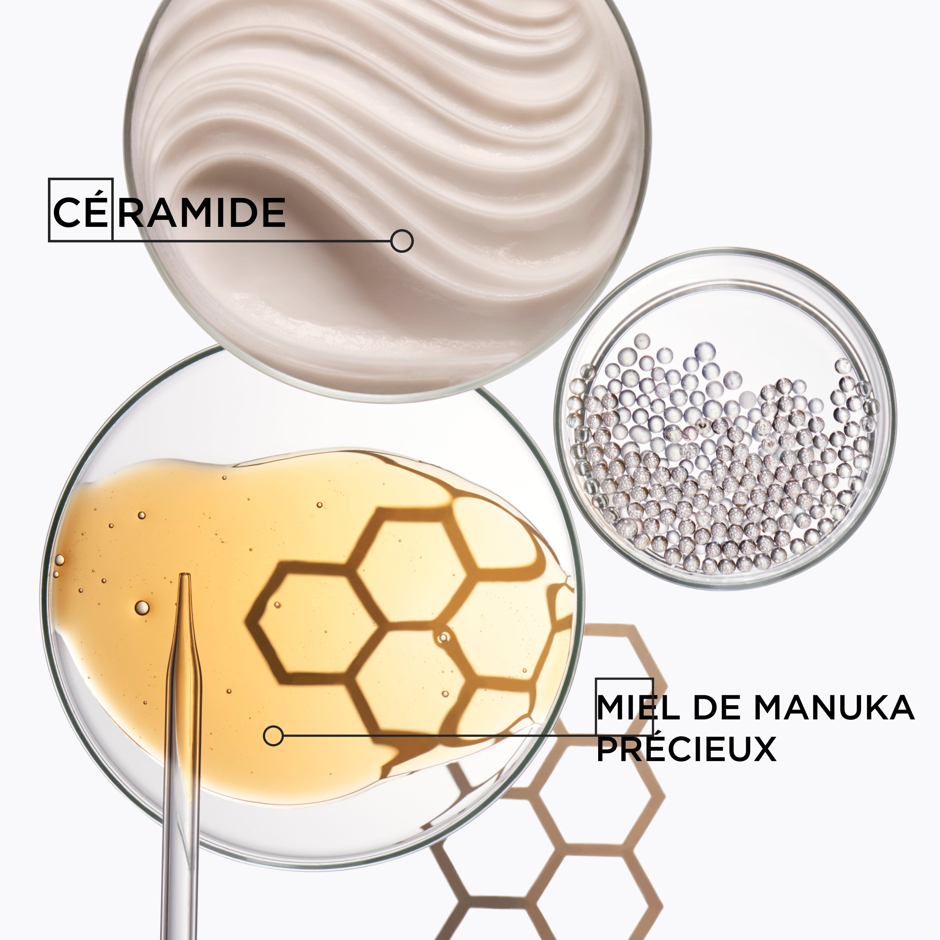 Coffret Printemps - Curl Manifesto - Édition Limitée