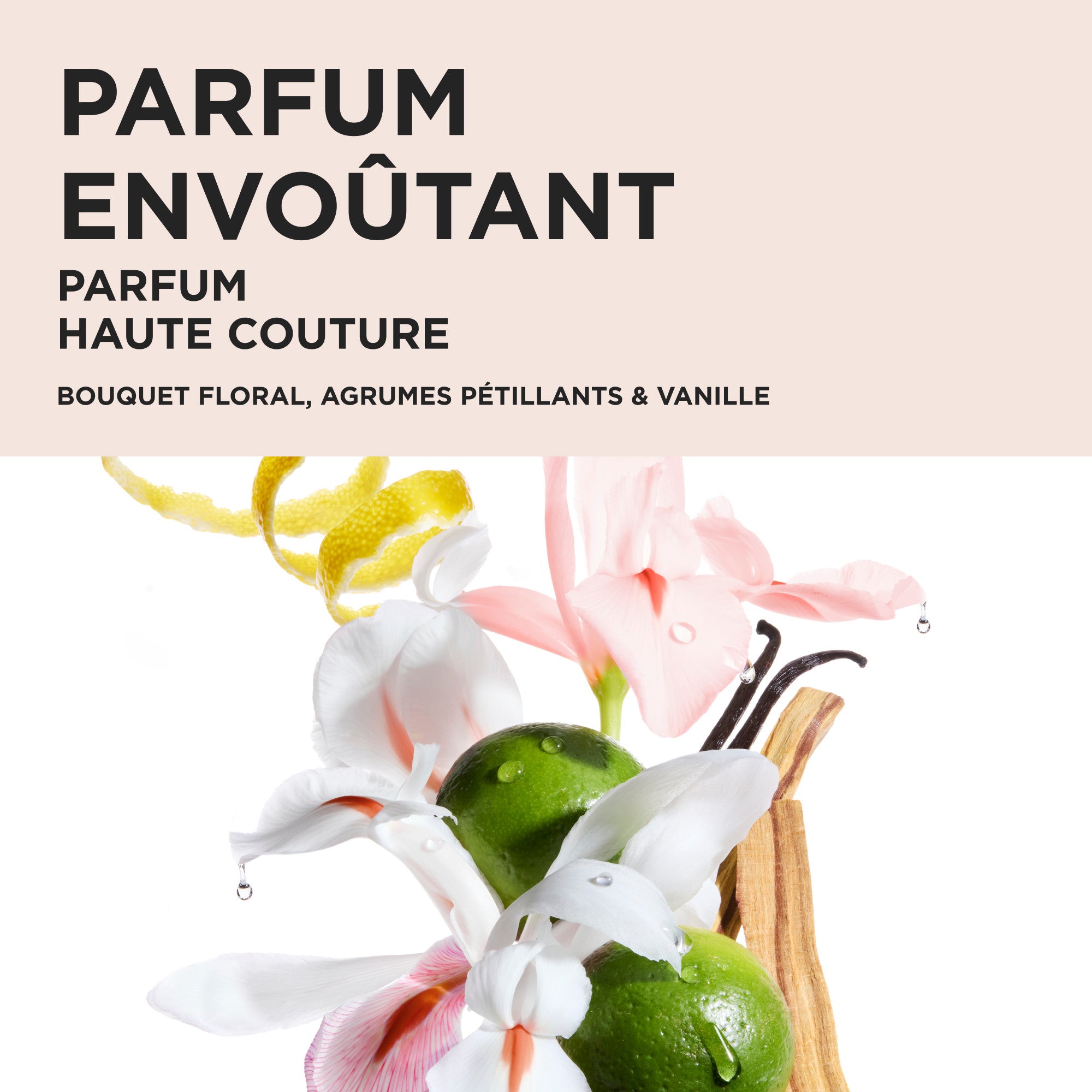 Coffret Printemps - Gloss Absolu - Édition Limitée