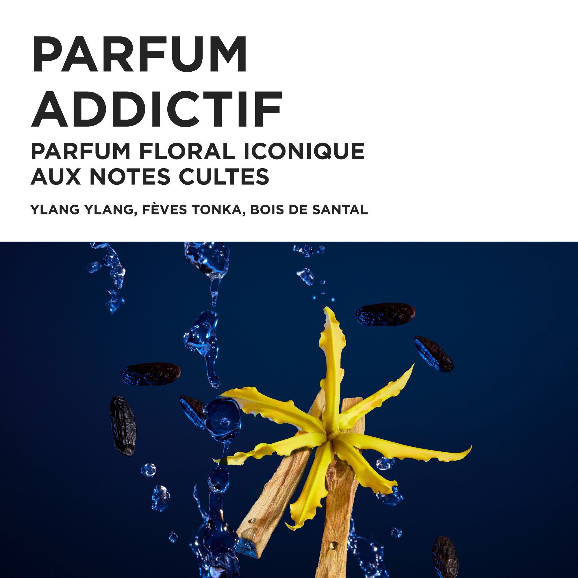 Coffret Printemps - Nutritive - Édition Limitée