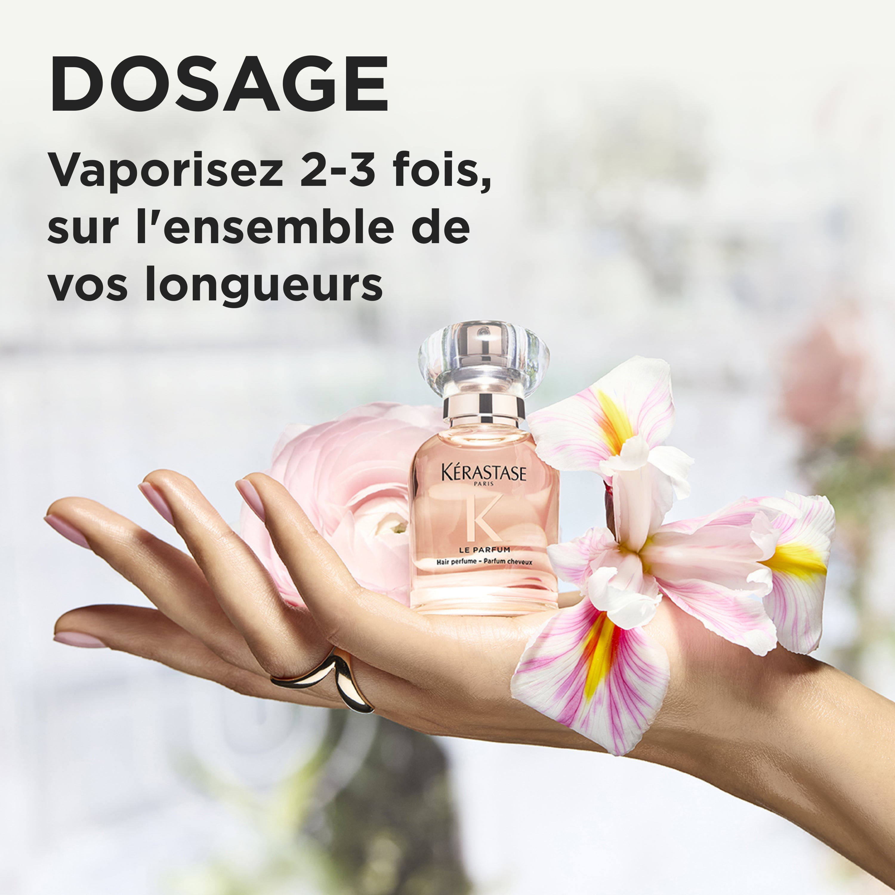 Le Parfum