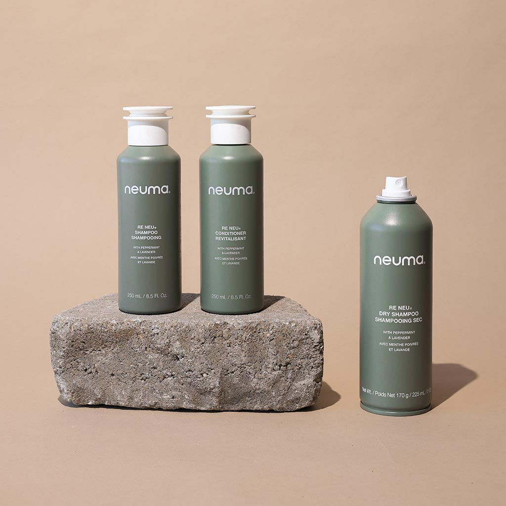 Re neu shampooing sec