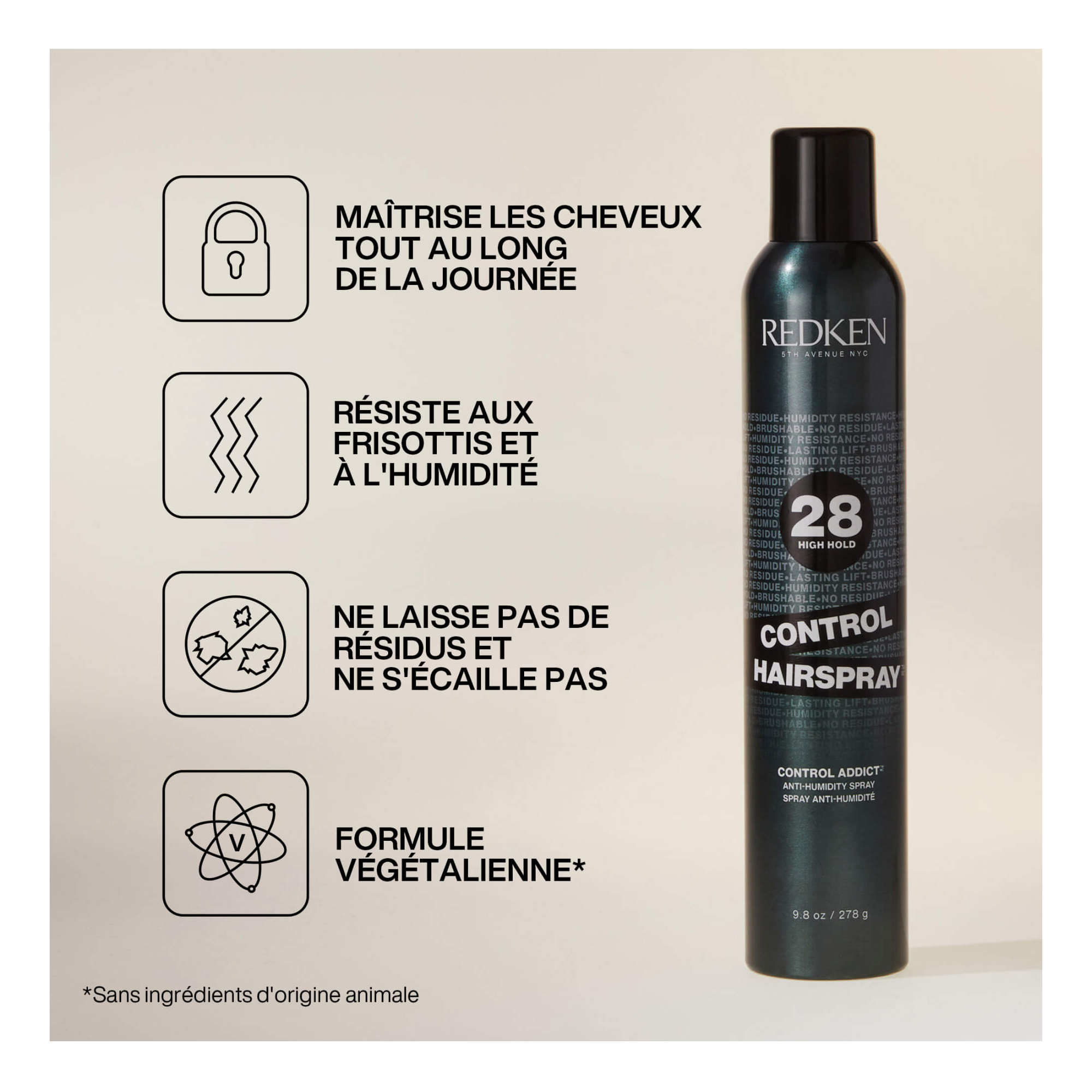 Redken Spray De Finition Control 28 290ML